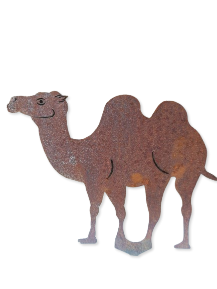 Kamel "Fernando" ohne Zierkappe 